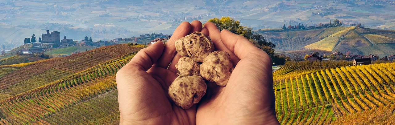 Enogastronomski vikend v Italiji: največji dogodki, posvečeni tartufu