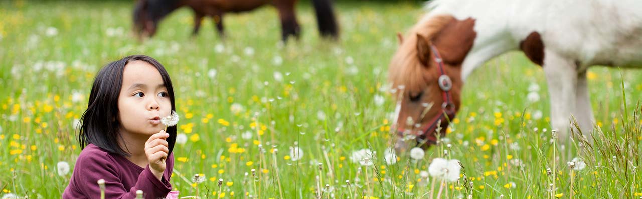 Izobraževalna kmetija v Italiji
