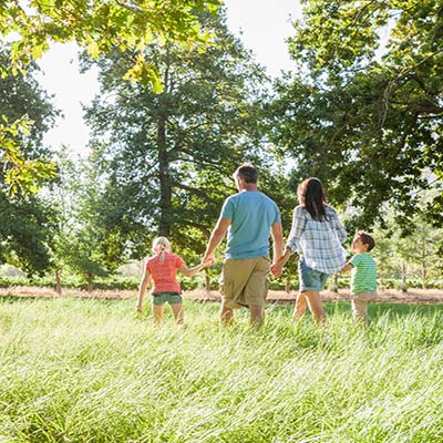 Počitnice v Italiji na družinski kmetiji