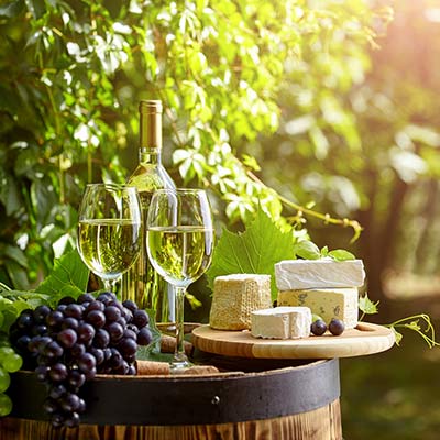 Počitnice na kmetiji v Toskani: vinske ceste